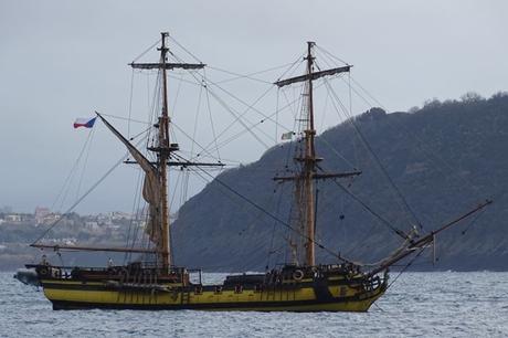 Arrivano i pirati: maestoso veliero approda nel golfo di Napoli la grace ischia