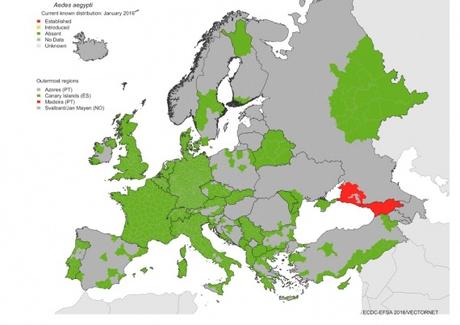 Virus Zika: E Se Debellassimo il Virus Eliminando La Zanzara Che Lo Veicola? A Quali Conseguenze?