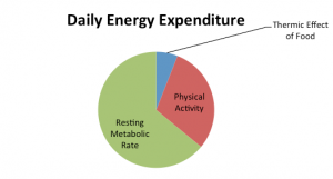 Componenti della spesa energetica