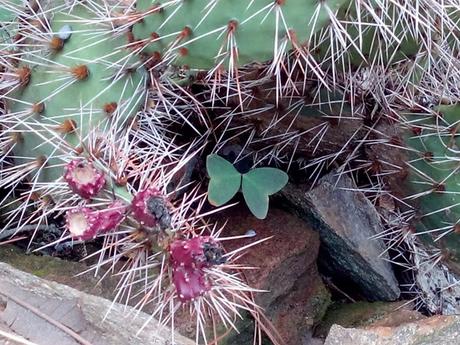 SPIRITUALITA' ANCHE SENZA RELIGIONE SPIRITUALITA' ANCHE SENZA RELIGIONE