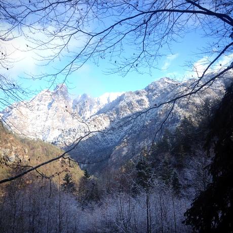 Il flâneur nella foresta