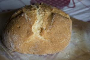 Farine senza glutine: oggi EsSenza glutine! EsSenza Glutine (3)