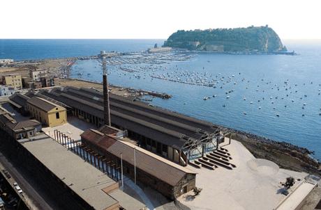 Corporea. A Città della Scienza il primo museo interattivo in Europa sul corpo umano città della scienza