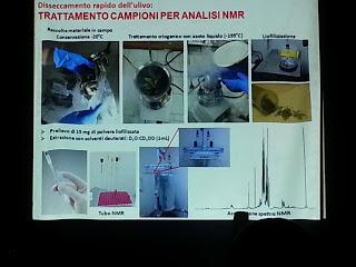 Francesco Paolo Fanizzi: Monitoraggio dei trattamenti di contenimento delle patologie del disseccamento rapido dell’ulivo con tecniche di metabolomica basate sulla risonanza magnetica nucleare (NMR) – Martano (Lecce) 26 febbraio 2016