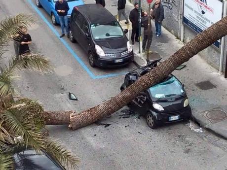 Vento forte a Napoli: impalcatura distrugge 5 auto, albero crolla e ne fa fuori una napoli, albero sdradicato dal vento