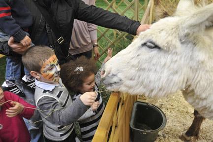 Al Children’s Tour 2016 con Modenabimbi.it! children's tour