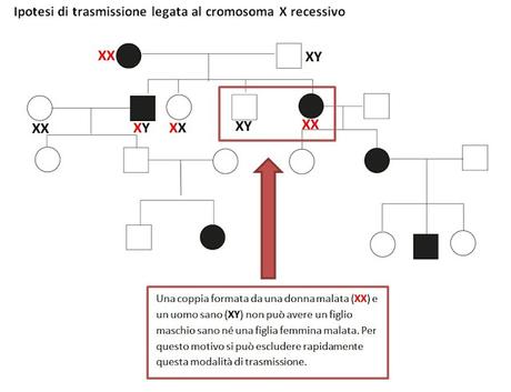 Alberi genealogici: come individuare la modalità di trasmissione di un carattere