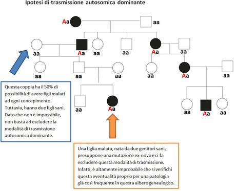 Alberi genealogici: come individuare la modalità di trasmissione di un carattere