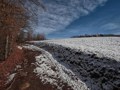 Walking in the snow #04