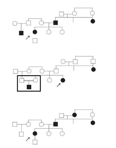 Come individuare l'albero genealogico corretto, partendo dalle informazioni fornite dall'esercizio