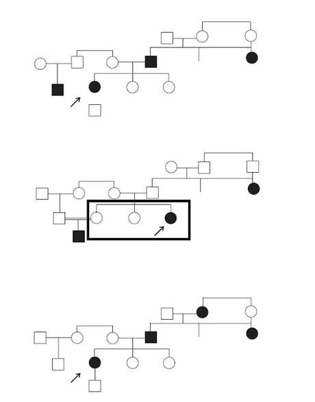 Come individuare l'albero genealogico corretto, partendo dalle informazioni fornite dall'esercizio