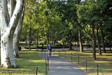 Washington in bicicletta: una pedalata nella storia