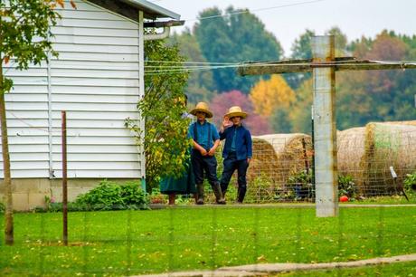 Amish: curiosità, salute, religione e rituali. Un mondo impenetrabile.