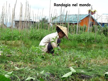 Lago Inle