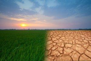 cambiamenti climatici