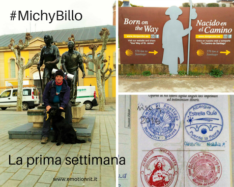 Michy e Billo sul Cammino di Santiago: la prima settimana
