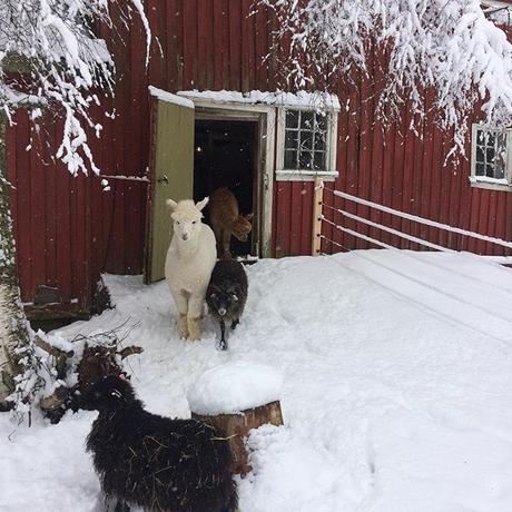 Un’antica fattoria in Norvegia