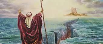 8 marzo 2016 – 2^ Festa dell’Uomo (2nd International Man’s Day): l’assegnazione delle prestigiose Mimose D’Oro 2016 ai cinque (forse sei) uomini più in gamba che nella Storia ce l’hanno fatta nonostante tutto…. index