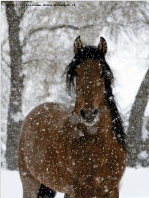 Schema a punto croce: Cavallo sotto la neve