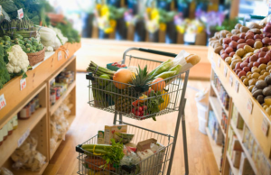 Personal bio food shopper