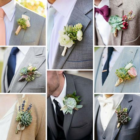 Piante succulente per il matrimonio