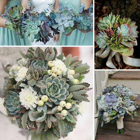 Piante succulente per il matrimonio