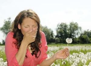 Allergie primaverili 2016, polline e polvere in agguato: sintomi, rimedi e consigli per alleviare il fastidio allergie polline