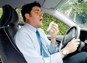 Allergie primaverili 2016, polline e polvere in agguato: sintomi, rimedi e consigli per alleviare il fastidio allergie in macchina