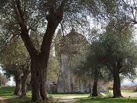 GEMELLAGGIO PIGNATARO MAGGIORE (CE) - SAN MINIATO (PI) GEMELLAGGIO PIGNATARO MAGGIORE (CE) - SAN MINIATO (PI)