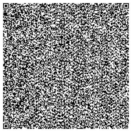 QR code I