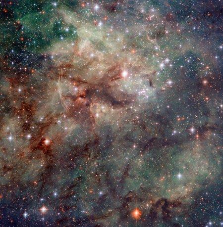 La Nebulosa Tarantola e i nuovi dettagli rivelati da Hubble