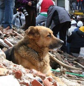 L'Aquila,due anni dopo