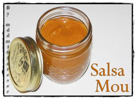 SALSA MOU