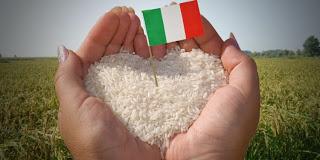 ROMA. Il riso made in Italy, da Coldiretti /AIRI una proposta per la filiera.