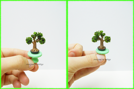 Bonsai in miniatura