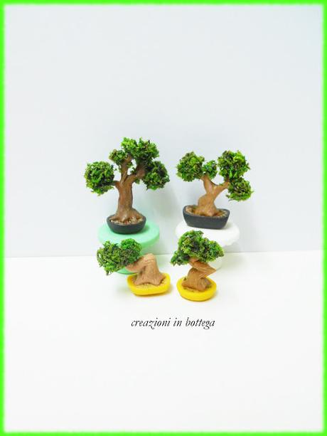 Bonsai in miniatura