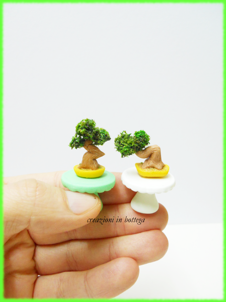 Bonsai in miniatura