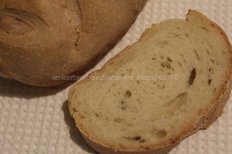 Pan ciabatta con lievito madre