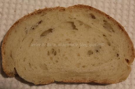 Pan ciabatta con lievito madre