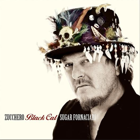 zucchero-black-cat