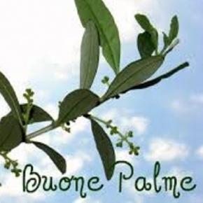 [Immagini] Auguri di buone palme da inviare su Whatsapp