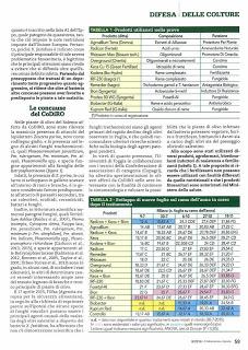 Università di Foggia: Nella zona considerata infetta del Salento, sarà possibile ipotizzare una convivenza tra l'olivo e il batterio, e tra il batterlo e il territorio