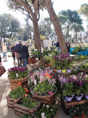 A Rimini, primavera al Grand Hotel..