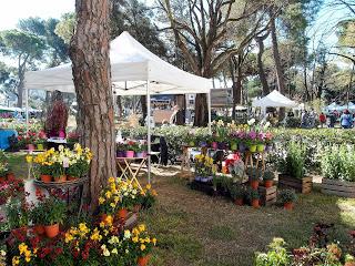 A Rimini, primavera al Grand Hotel..