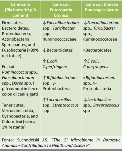 Il microbioma intestinale: salute e malattia di cane e gatto passano da qui!