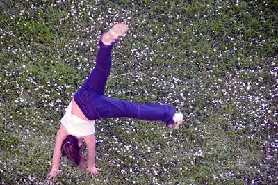 Primavera  ... da Oggi ...