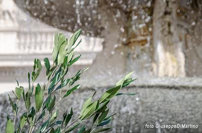 DOMENICA delle PALME a ROMA .....