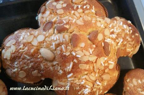 Colombe ne abbiamo? Colomba 2016