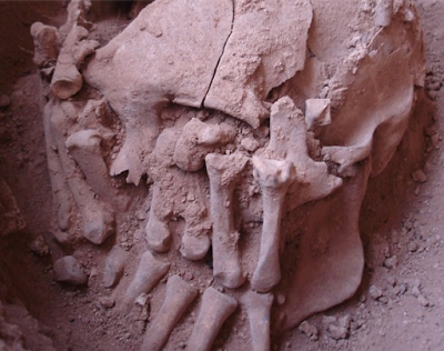 Archeologia. La più antica decapitazione del Nuovo Mondo