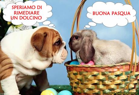 [Immagini] Auguri di Pasqua e Pasquetta da inviare su Whatsapp